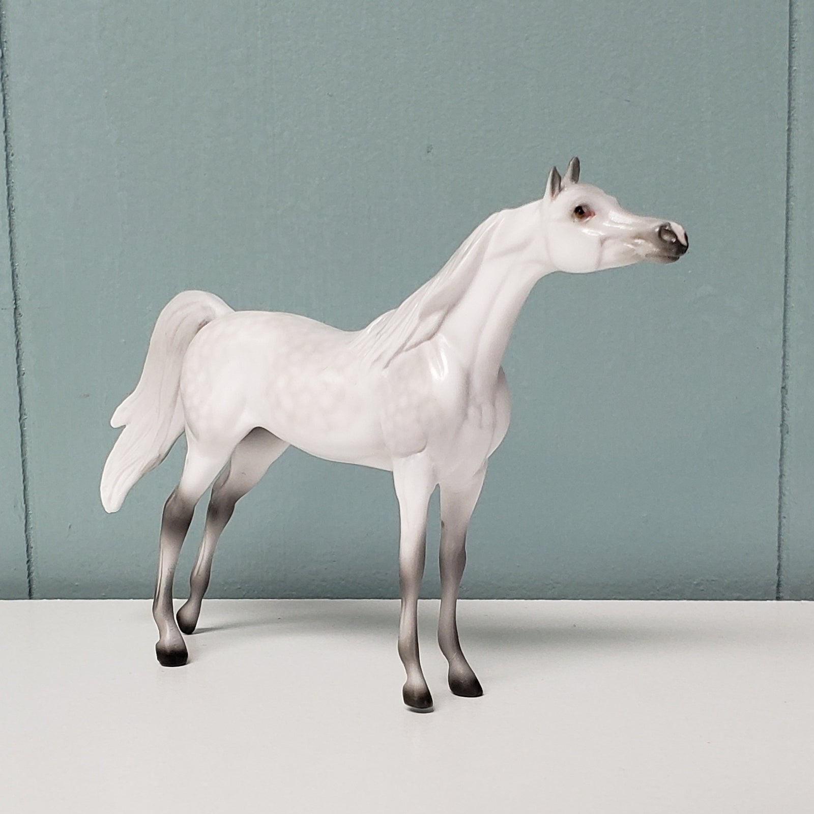 The Doctor LE-3 Dappled Grey Arabian Chip Velveteen Classic Literature Series By Jess Hamill  CL24