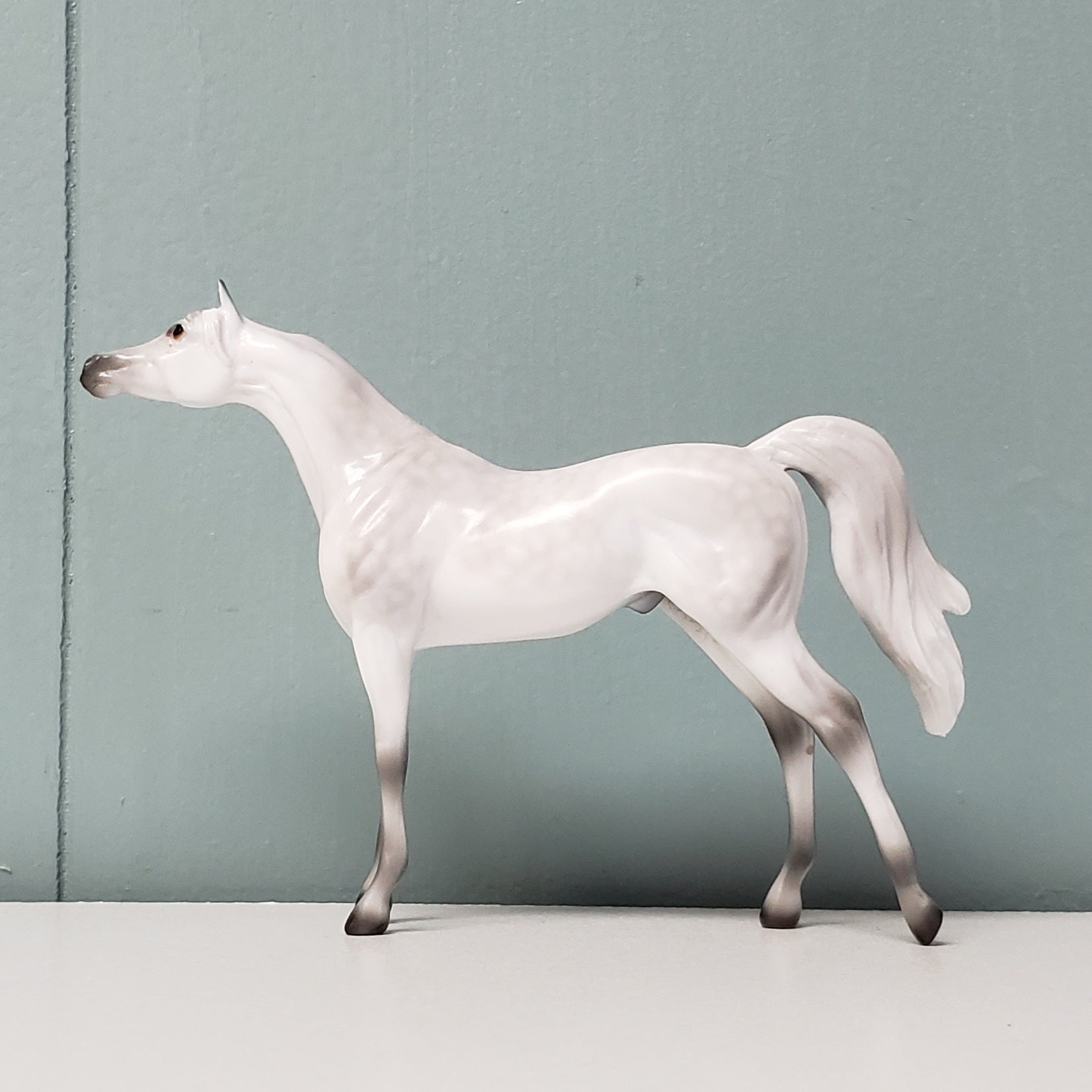 The Doctor LE-3 Dappled Grey Arabian Chip Velveteen Classic Literature Series By Jess Hamill  CL24