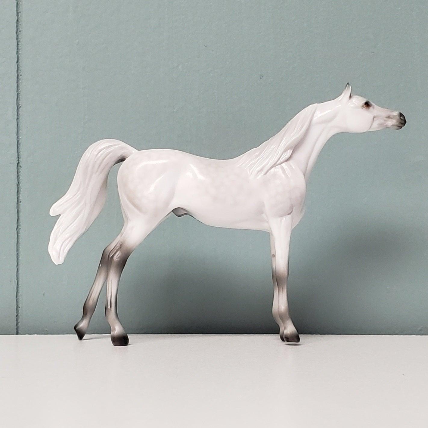 The Doctor LE-3 Dappled Grey Arabian Chip Velveteen Classic Literature Series By Jess Hamill  CL24