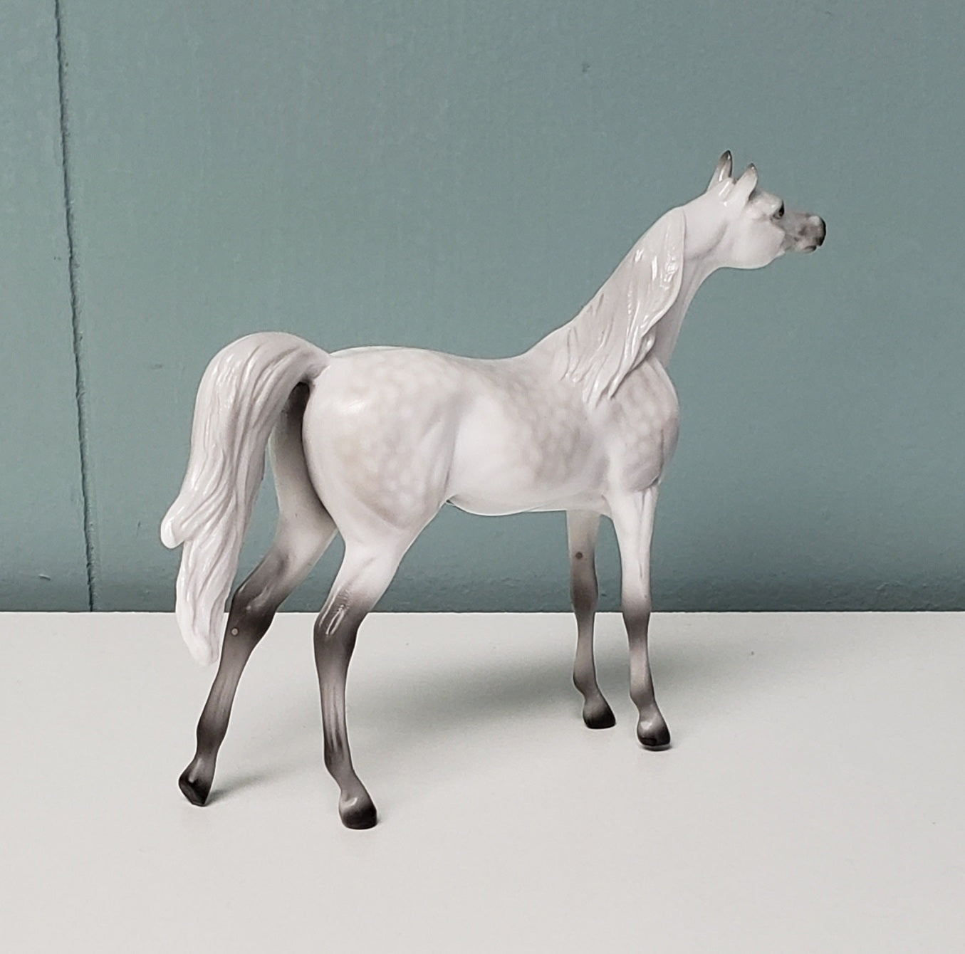 The Doctor LE-3 Dappled Grey Arabian Chip Velveteen Classic Literature Series By Jess Hamill  CL24