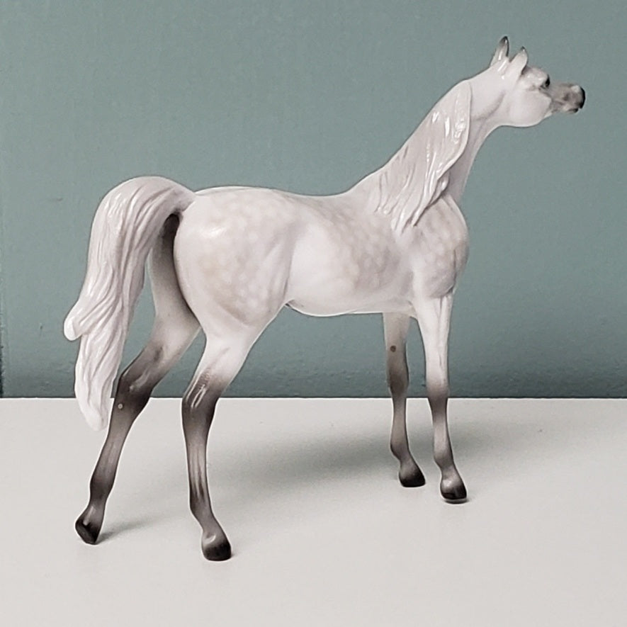 The Doctor LE-3 Dappled Grey Arabian Chip Velveteen Classic Literature Series By Jess Hamill  CL24