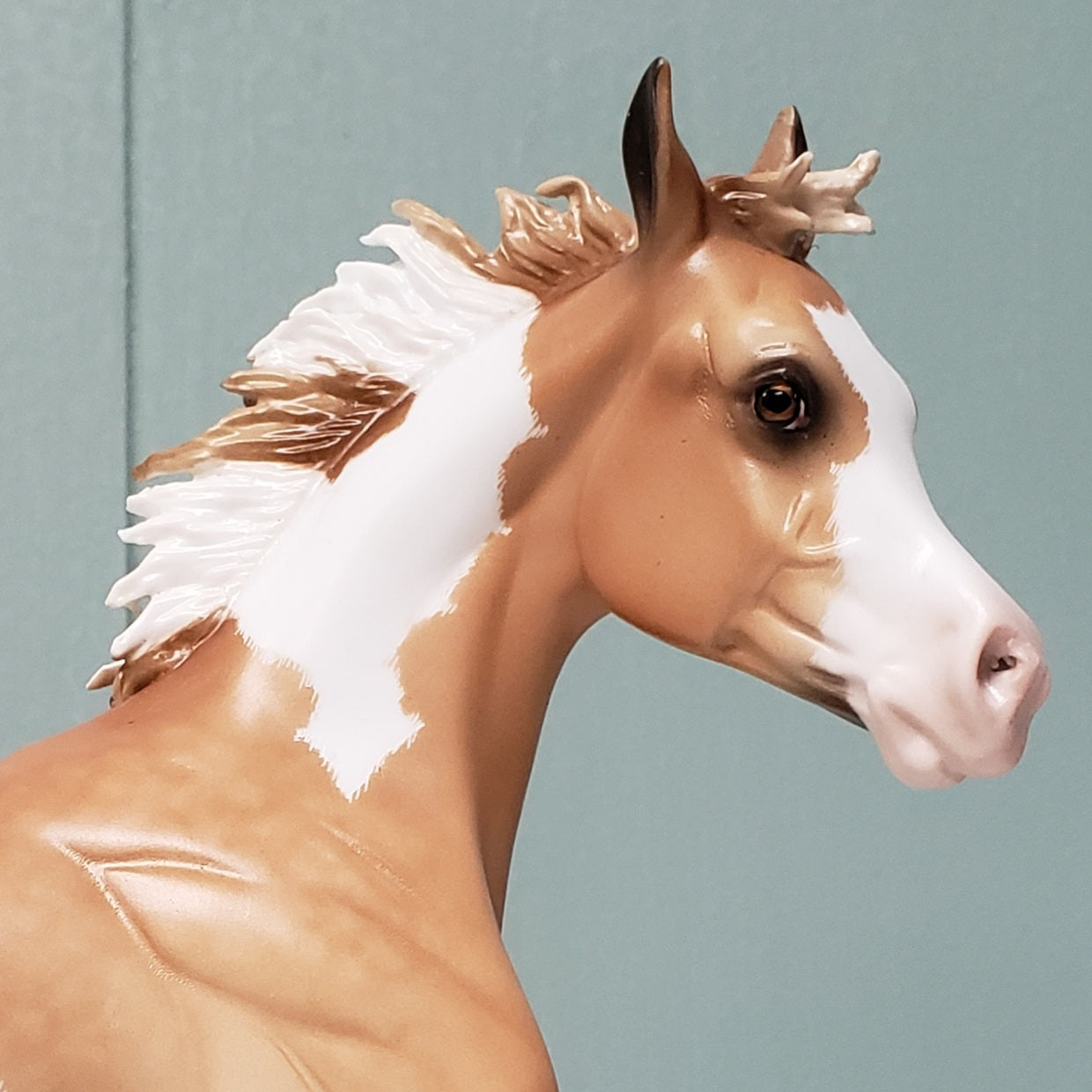 Crazy Love OOAK Dappled Chestnut Tovero Yearling By Sheryl Leisure - Best Offers 4/16/24