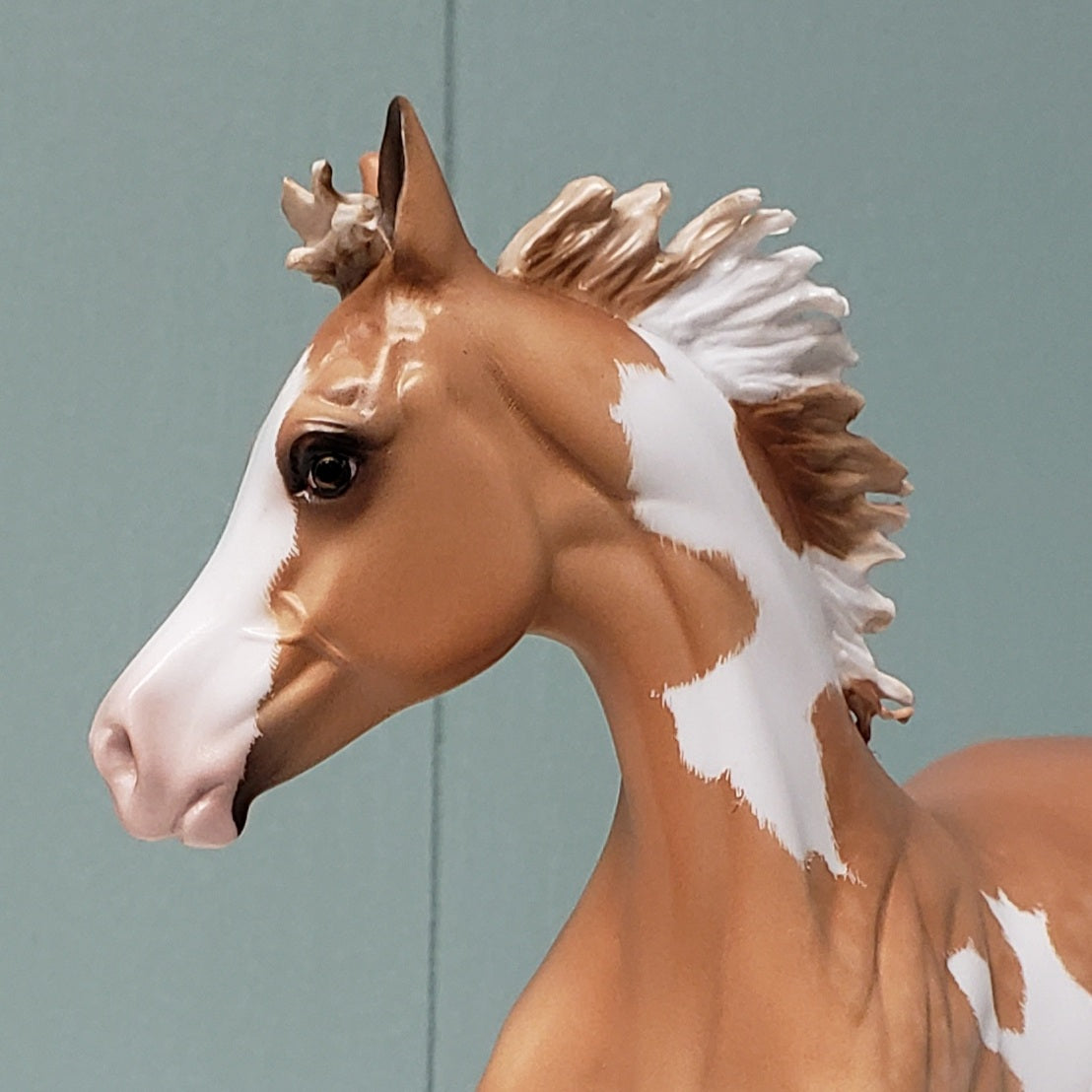 Crazy Love OOAK Dappled Chestnut Tovero Yearling By Sheryl Leisure - Best Offers 4/16/24