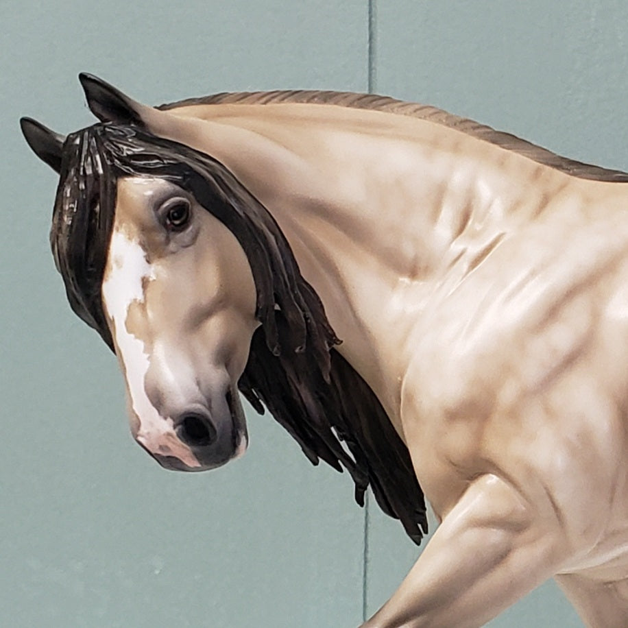 Lionize OOAK Dappled Buckskin Custom Irish Cob By Jess Hamill - Best Offers 4/16/24