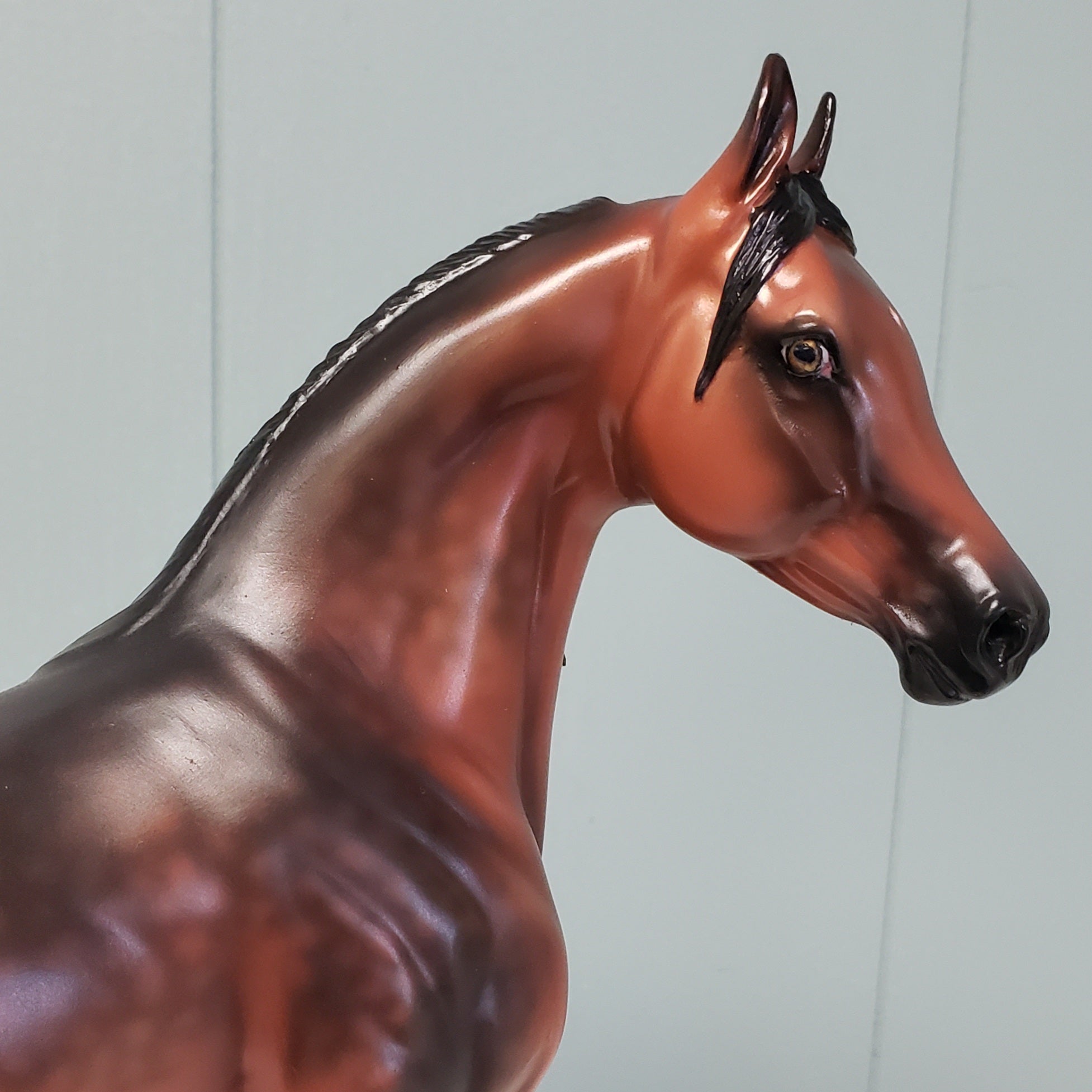 Red Lady OOAK Dappled Sooty Bay Custom Arab Mare By Ashley Palmer - Best Offer 4/23/24