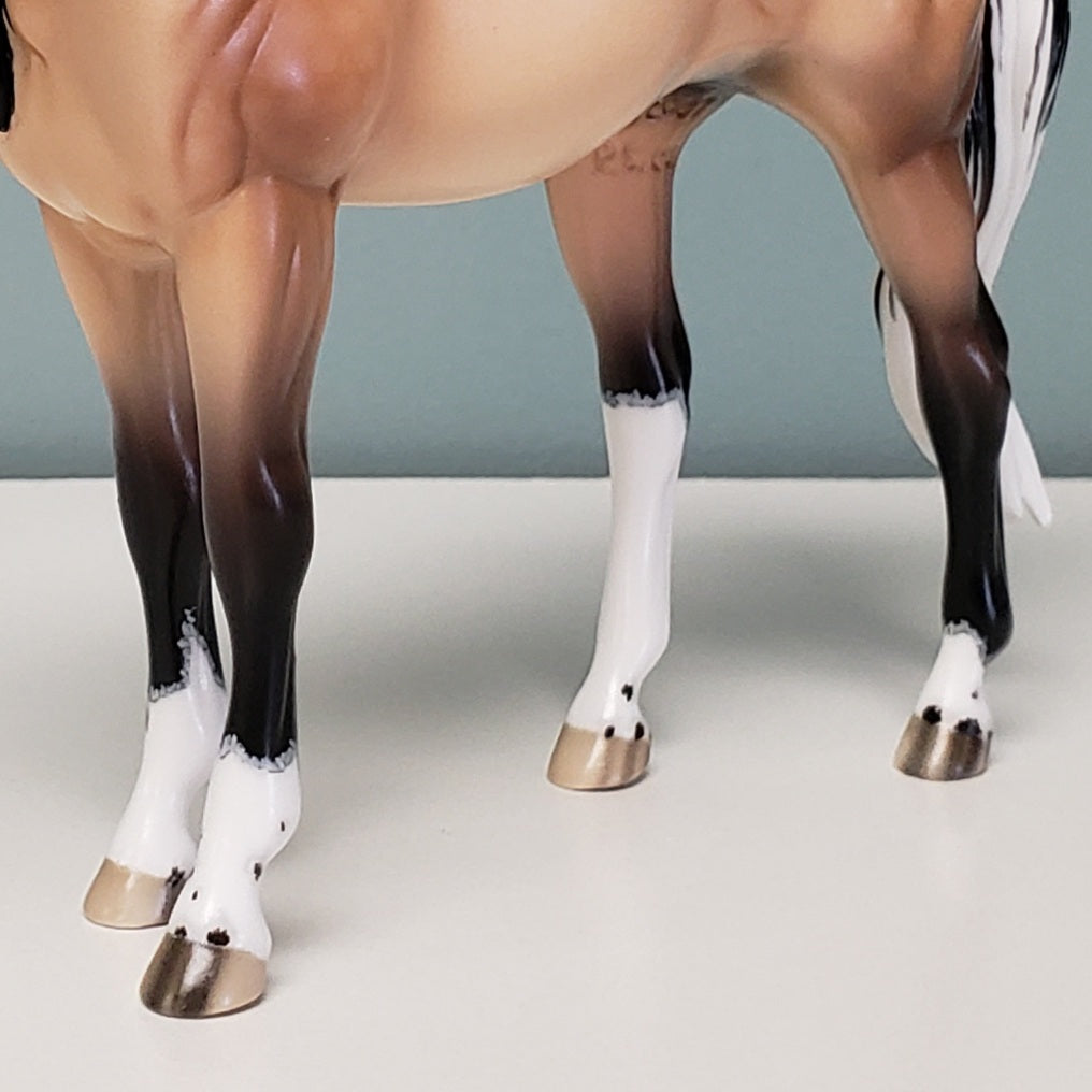 Katy OOAK Dappled Buckskin Tobiano Custom Arab Mare By Ellen Robbins - Best Offer 4/23/24