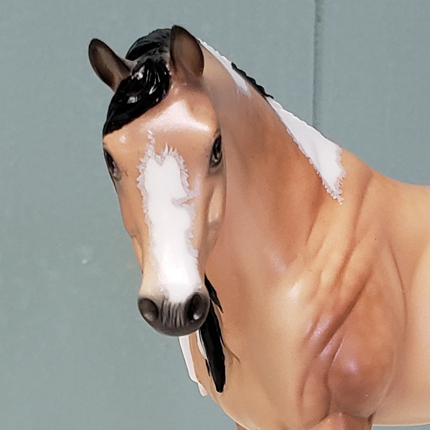 Katy OOAK Dappled Buckskin Tobiano Custom Arab Mare By Ellen Robbins - Best Offer 4/23/24