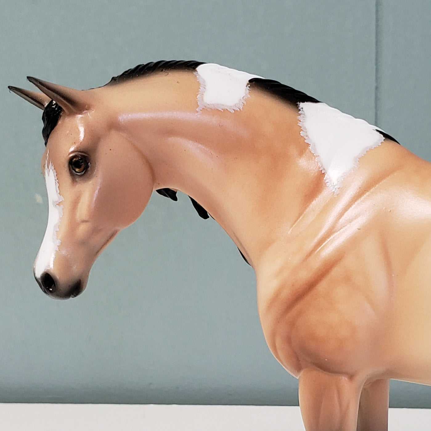 Katy OOAK Dappled Buckskin Tobiano Custom Arab Mare By Ellen Robbins - Best Offer 4/23/24