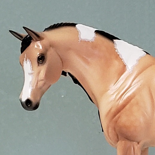 Katy OOAK Dappled Buckskin Tobiano Custom Arab Mare By Ellen Robbins - Best Offer 4/23/24