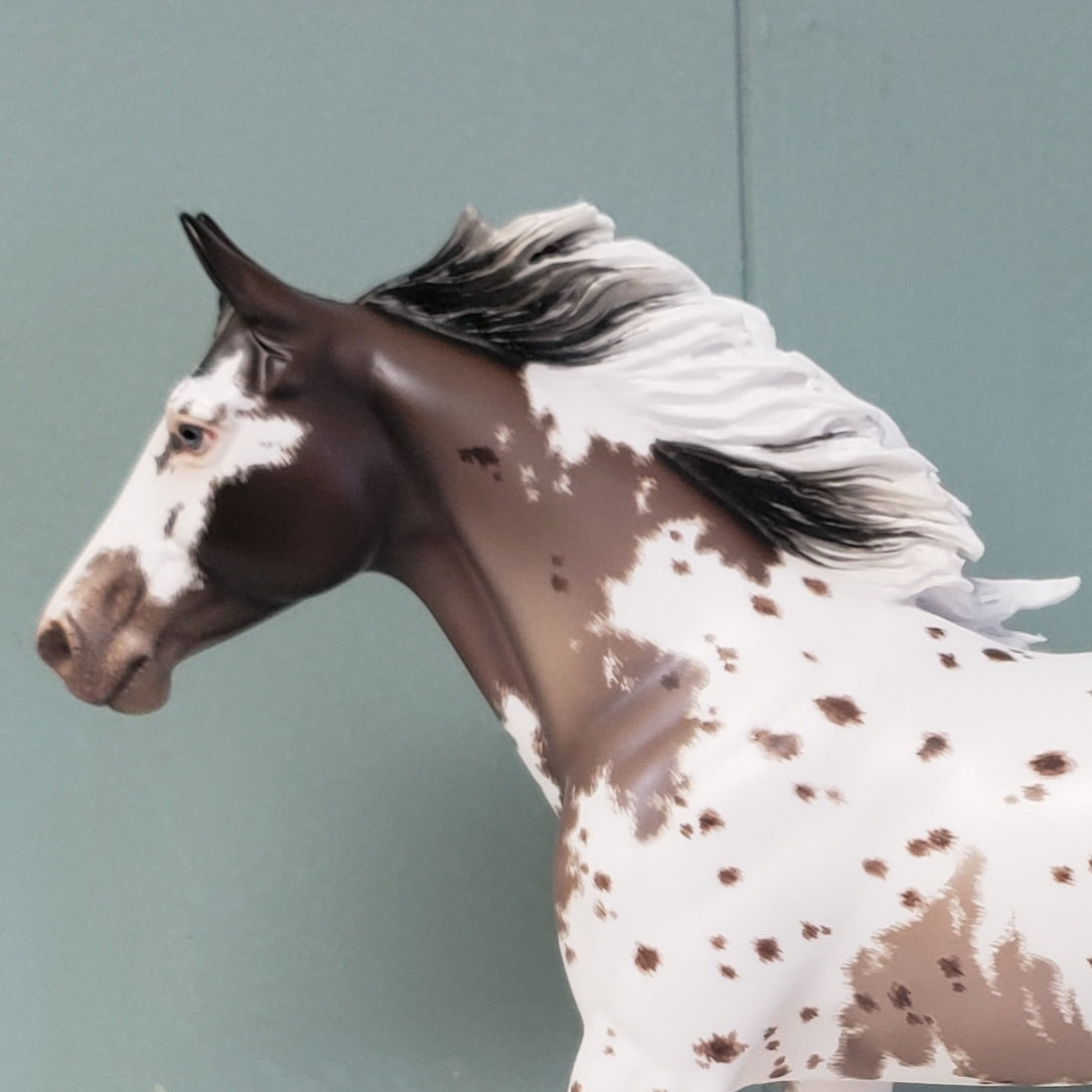 Yes And OOAK Silver Grulla Appaloosa Custom Palouse By Ellen Robbins - Best Offer 4/23/24