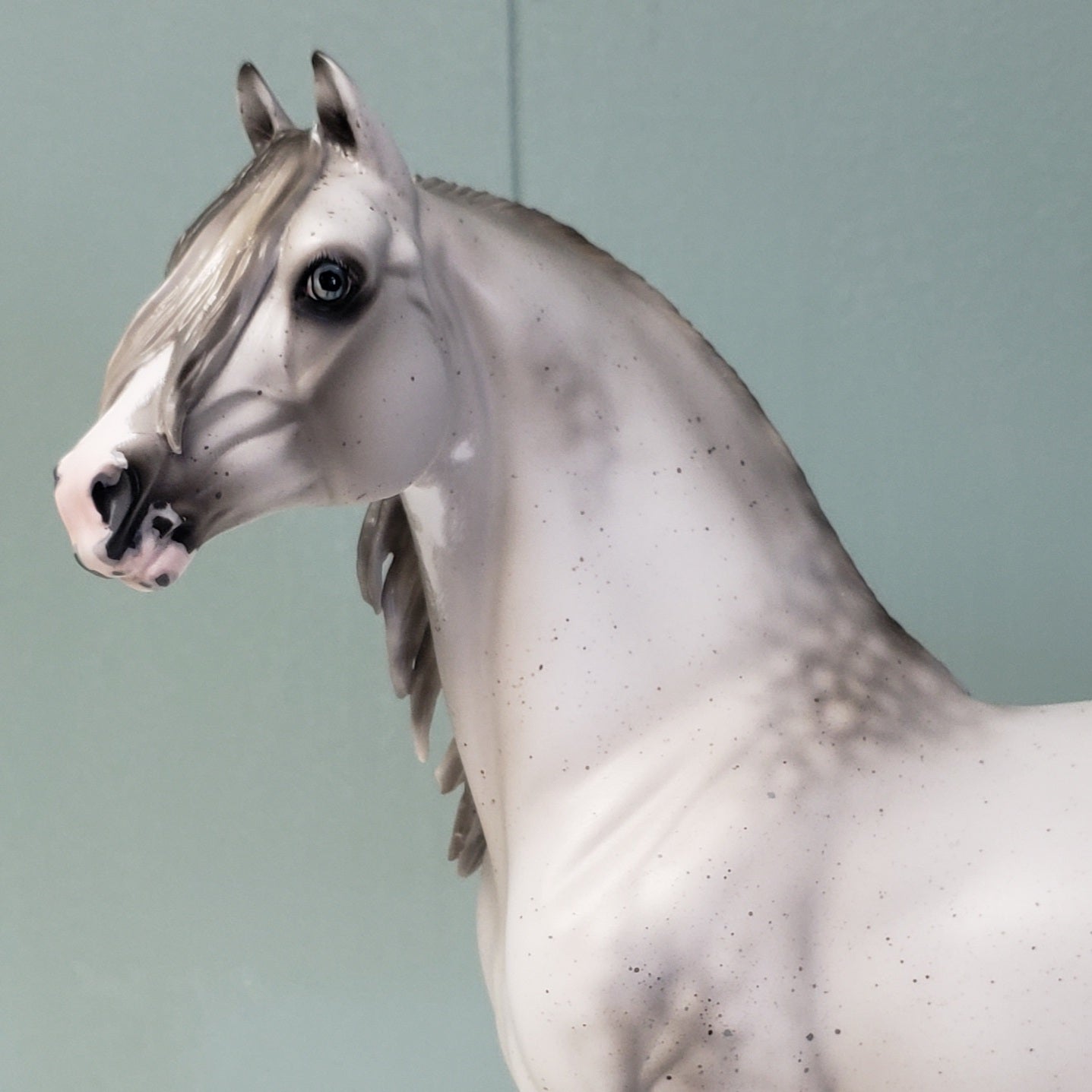 Kingswood OOAK Fleabitten Dappled Grey Sabino Custom Morgan By Ashley Palmer - Best Offer 4/23/24