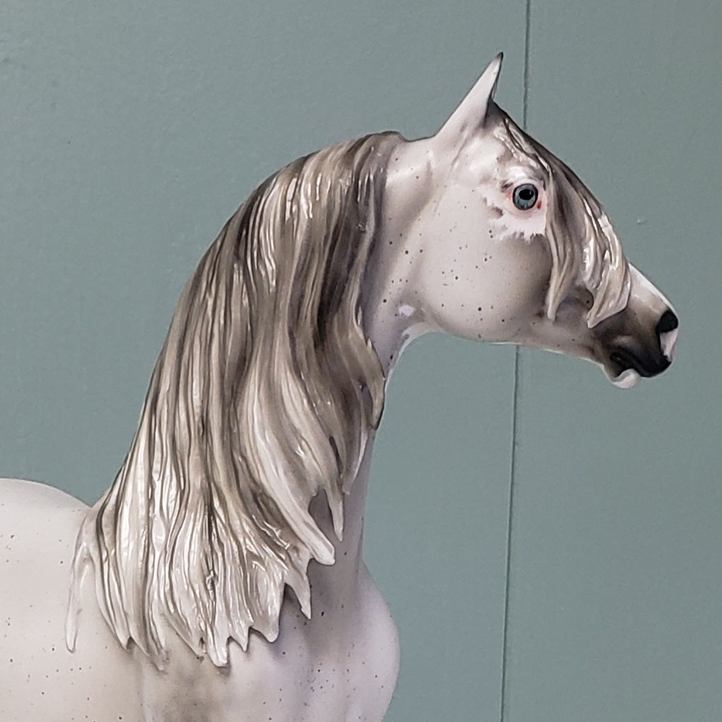 Kingswood OOAK Fleabitten Dappled Grey Sabino Custom Morgan By Ashley Palmer - Best Offer 4/23/24