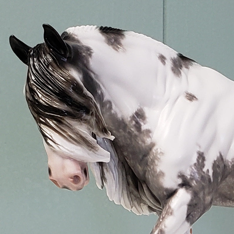 Cry Me A River OOAK Blue Roan Custom Irish Cob by Sheryl Leisure - Best Offer 4/23/24