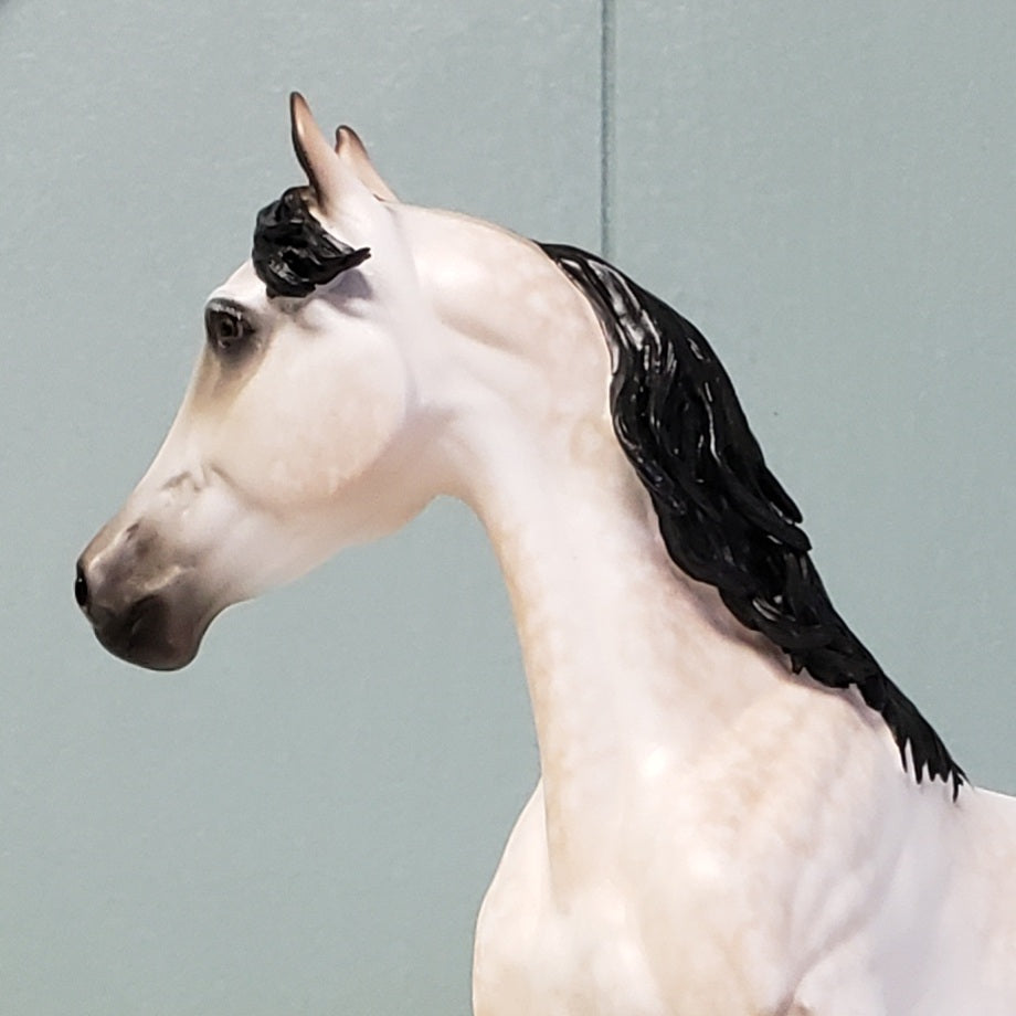 Baby I'll Wait OOAK Dappled Rose Grey Custom Arab Mare by Sheryl Leisure - Best Offer 4/23/24