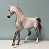 Posh OOAK Dappled Rose Gray Arabian Mare By Sheryl Leisure Best Offers 4/30/24