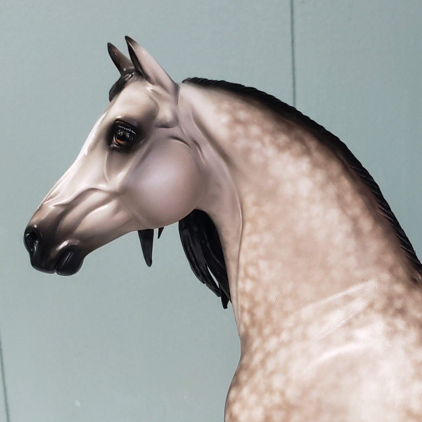 Dream With Me OOAK Dappled Bay Going Grey Custom Morgan By Sheryl Leisure Best Offers 4/30/24