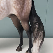 Dream With Me OOAK Dappled Bay Going Grey Custom Morgan By Sheryl Leisure Best Offers 4/30/24