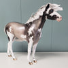 One Last Freeze OOAK Silver Grulla Sabino Custom Mustang By Ellen Robbins Best Offers 4/30/24