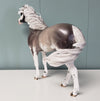 One Last Freeze OOAK Silver Grulla Sabino Custom Mustang By Ellen Robbins Best Offers 4/30/24