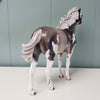 One Last Freeze OOAK Silver Grulla Sabino Custom Mustang By Ellen Robbins Best Offers 4/30/24