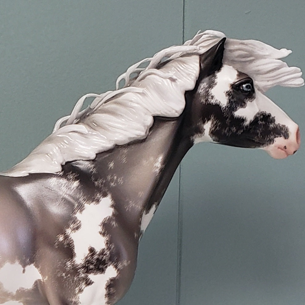 One Last Freeze OOAK Silver Grulla Sabino Custom Mustang By Ellen Robbins Best Offers 4/30/24