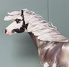 One Last Freeze OOAK Silver Grulla Sabino Custom Mustang By Ellen Robbins Best Offers 4/30/24