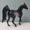 Nymeria OOAK Shaded Black Rabicano Custom Arab Mare By Ashley Palmer Best Offers 4/30/24