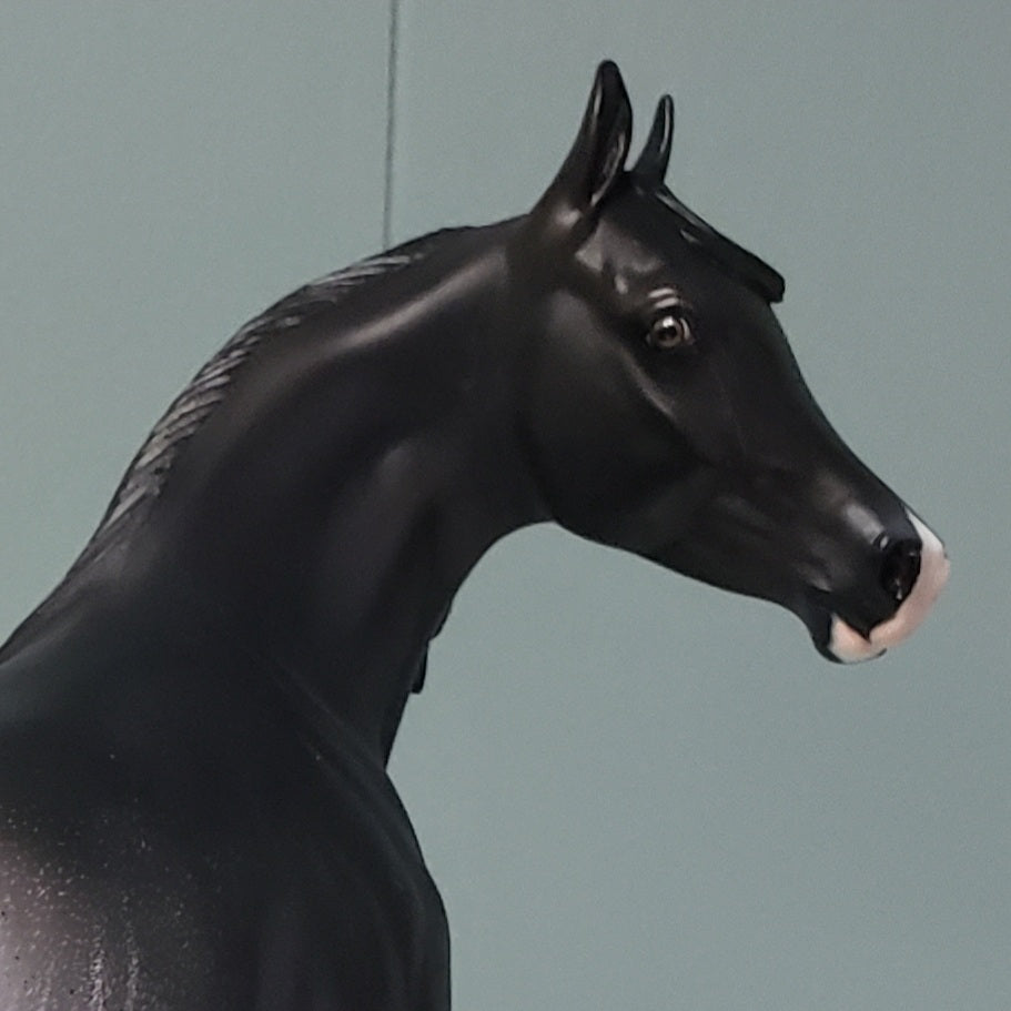 Nymeria OOAK Shaded Black Rabicano Custom Arab Mare By Ashley Palmer Best Offers 4/30/24