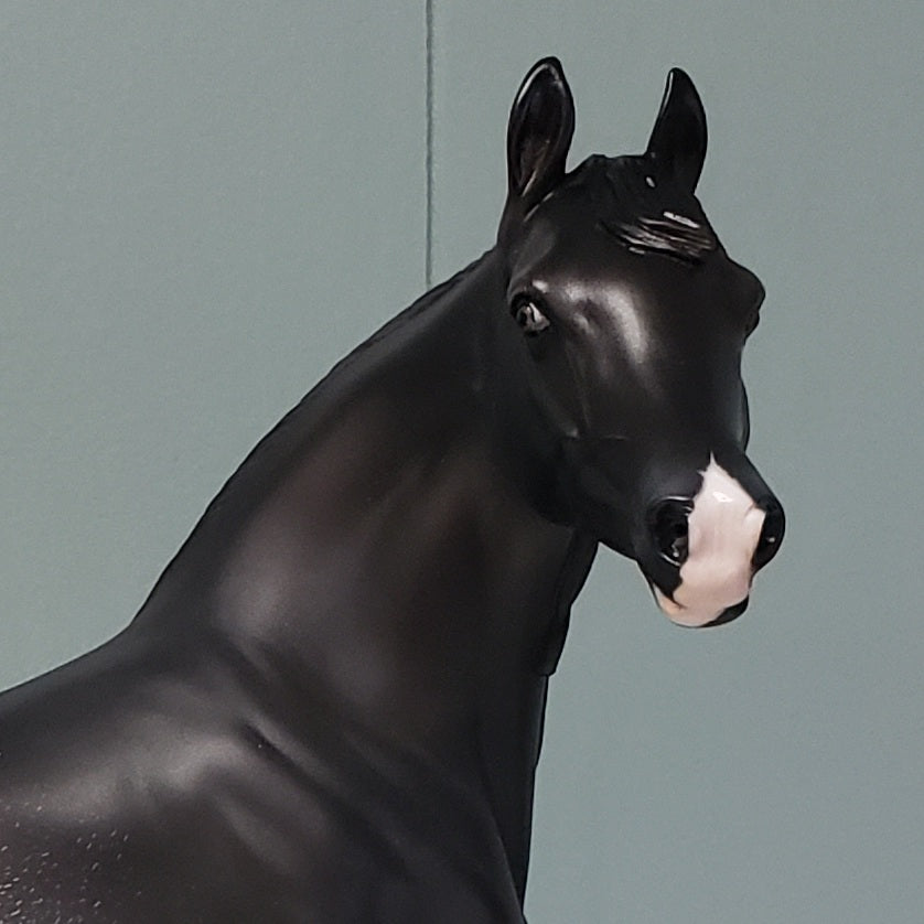 Nymeria OOAK Shaded Black Rabicano Custom Arab Mare By Ashley Palmer Best Offers 4/30/24