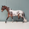 Lindemuth OOAK Bay Appaloosa Custom Pony By Jess Hamill Best Offers 4/30/24