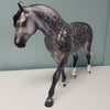 Pendragon OOAK Star Dappled Grey Custom Irish Draught By Jess Hamill Best Offers 4/30/24