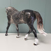 Pendragon OOAK Star Dappled Grey Custom Irish Draught By Jess Hamill Best Offers 4/30/24