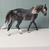 Pendragon OOAK Star Dappled Grey Custom Irish Draught By Jess Hamill Best Offers 4/30/24