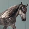 Pendragon OOAK Star Dappled Grey Custom Irish Draught By Jess Hamill Best Offers 4/30/24