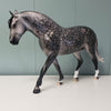 Pendragon OOAK Star Dappled Grey Custom Irish Draught By Jess Hamill Best Offers 4/30/24