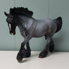 Blank Slate OOAK Reverse Dappled Blue Roan Custom Irish Cob By Jess Hamill - SS524 May End of Month Sale