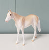 Dandelion Wish LE-6 Palomino Sabino Thoroughbred Chip By Ellen Robbins