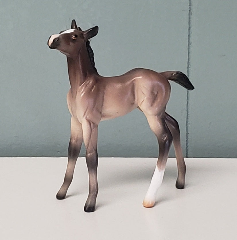 Terpsichore LE-6 Bay Foal Chip By Ellen Robbins