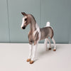 Secret of Success OOAK Dappled Grey Tobiano with Etching Pebble Saddlebred By Julie Keim - SHCF24