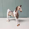 Secret of Success OOAK Dappled Grey Tobiano with Etching Pebble Saddlebred By Julie Keim - SHCF24