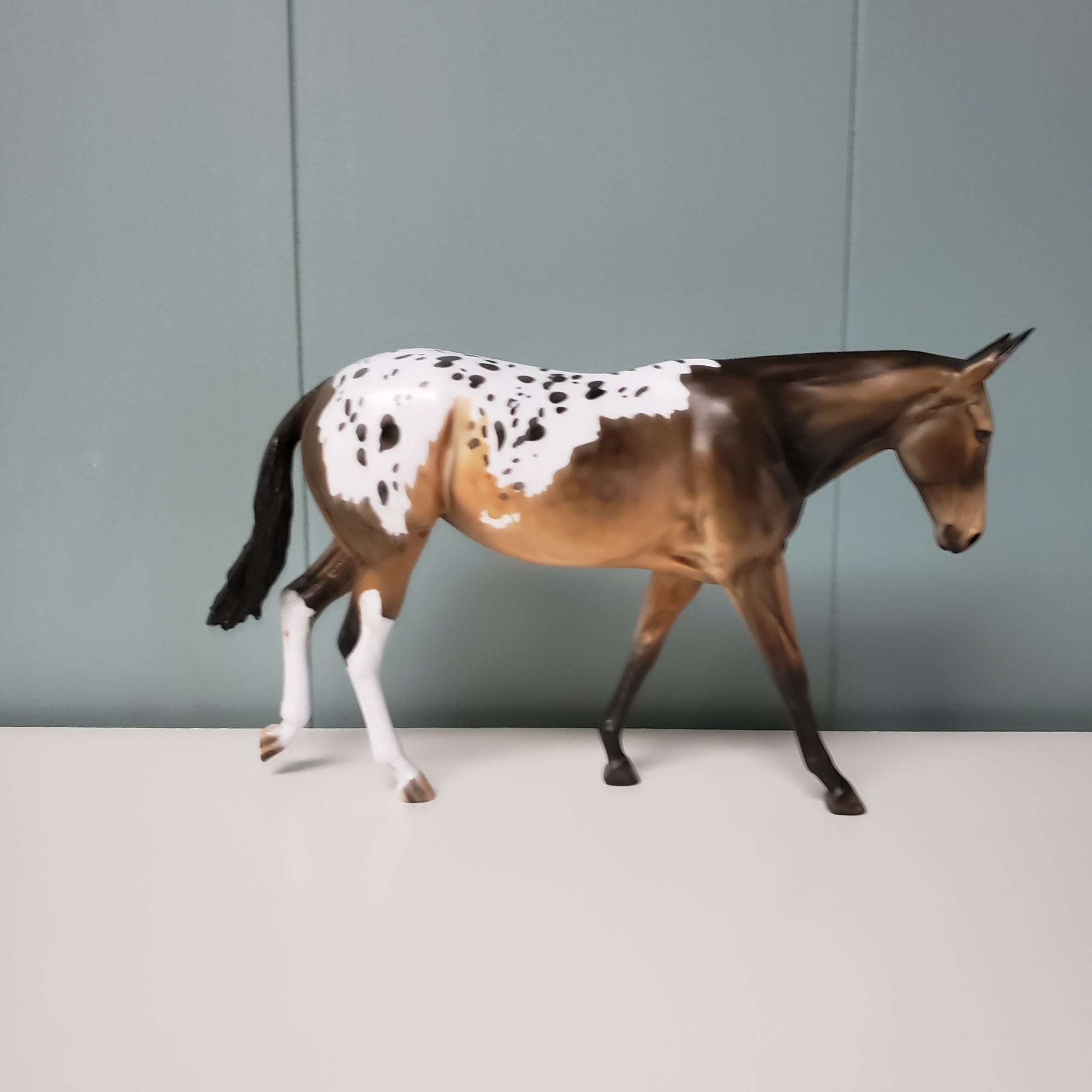 Opportunity Knocking OOAK Bay Appaloosa Pebble Mule By Dawn Quick - SHCF24