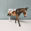 Opportunity Knocking OOAK Bay Appaloosa Pebble Mule By Dawn Quick - SHCF24