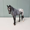 Something Blue OOAK Blue Roan Appaloosa Pebble Arabian By Ellen Robbins - SHCF24