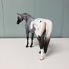 Something Blue OOAK Blue Roan Appaloosa Pebble Arabian By Ellen Robbins - SHCF24