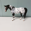 Little Miss Fancy Pants OOAK Appaloosa Pebble Arabian Mare By Dawn Quick - SHCF24