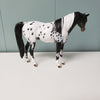 Little Miss Fancy Pants OOAK Appaloosa Pebble Arabian Mare By Dawn Quick - SHCF24