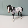 Little Miss Fancy Pants OOAK Appaloosa Pebble Arabian Mare By Dawn Quick - SHCF24