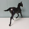 Yara OOAK Purple Black Customized Yearling By Ashley Palmer - SHCF24