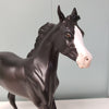 Yara OOAK Purple Black Customized Yearling By Ashley Palmer - SHCF24