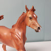 Wallaby OOAK Dappled Chestnut Custom Arabian Yearling By Jess Hamill - SHCF24